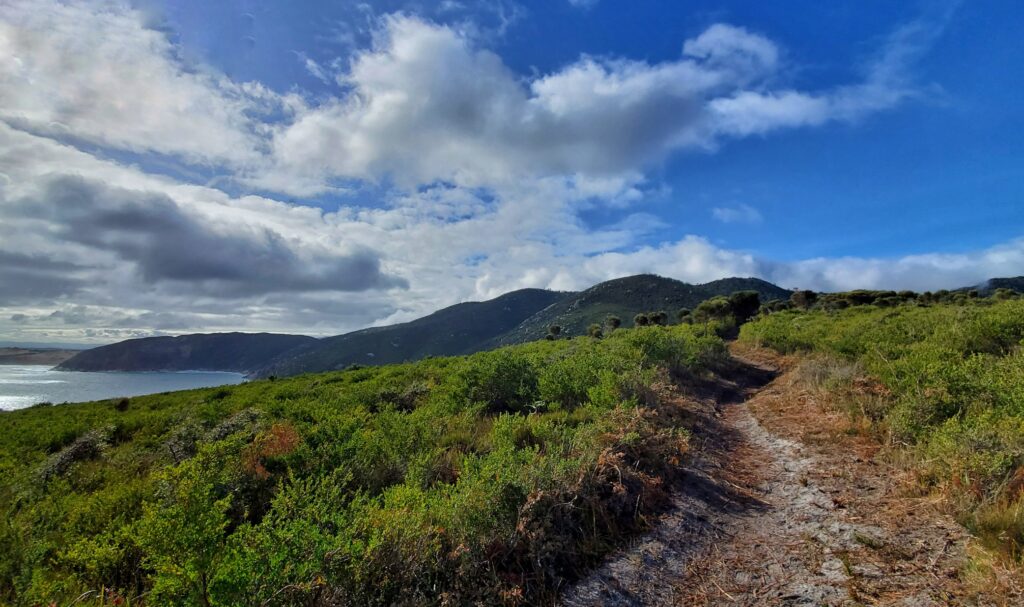 A picture of the well-maintained trails along Tongue Point hike. 