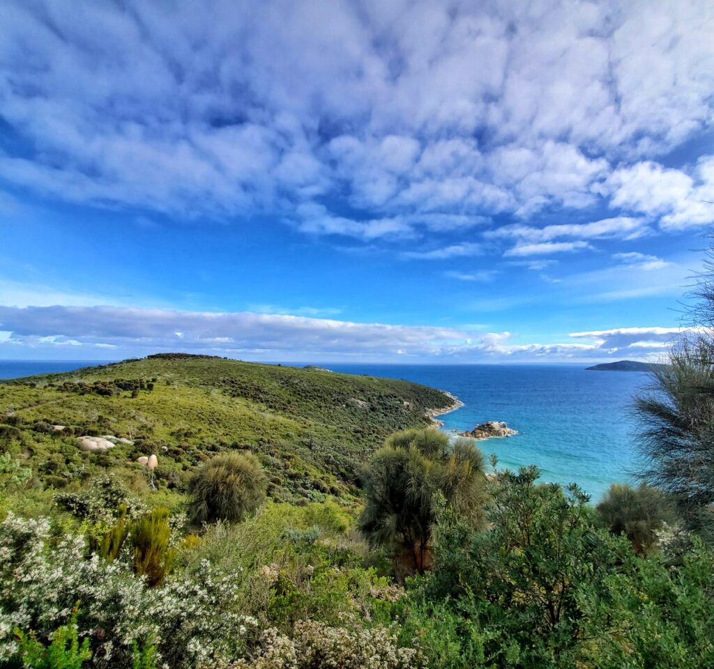 Tongue Point hike viewpoint, looking out towards Tongue Point and the Bass Strait.