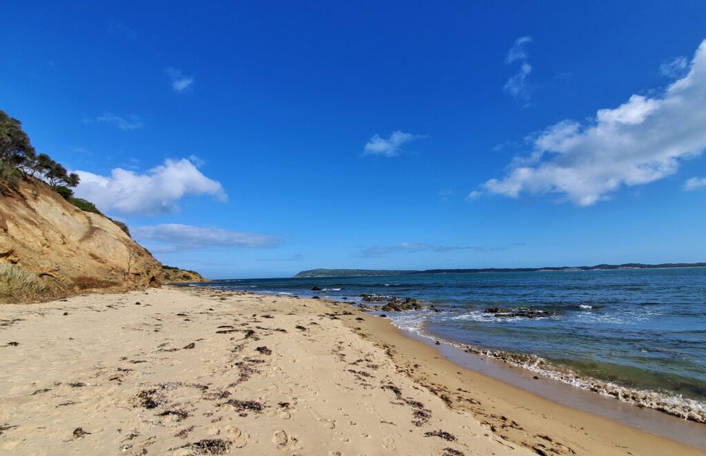 Back Beach in San Remo, Victoria