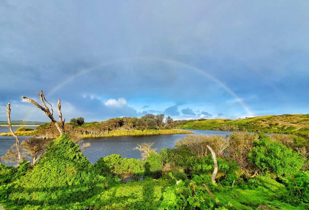 Swan Lake, Phillip Island