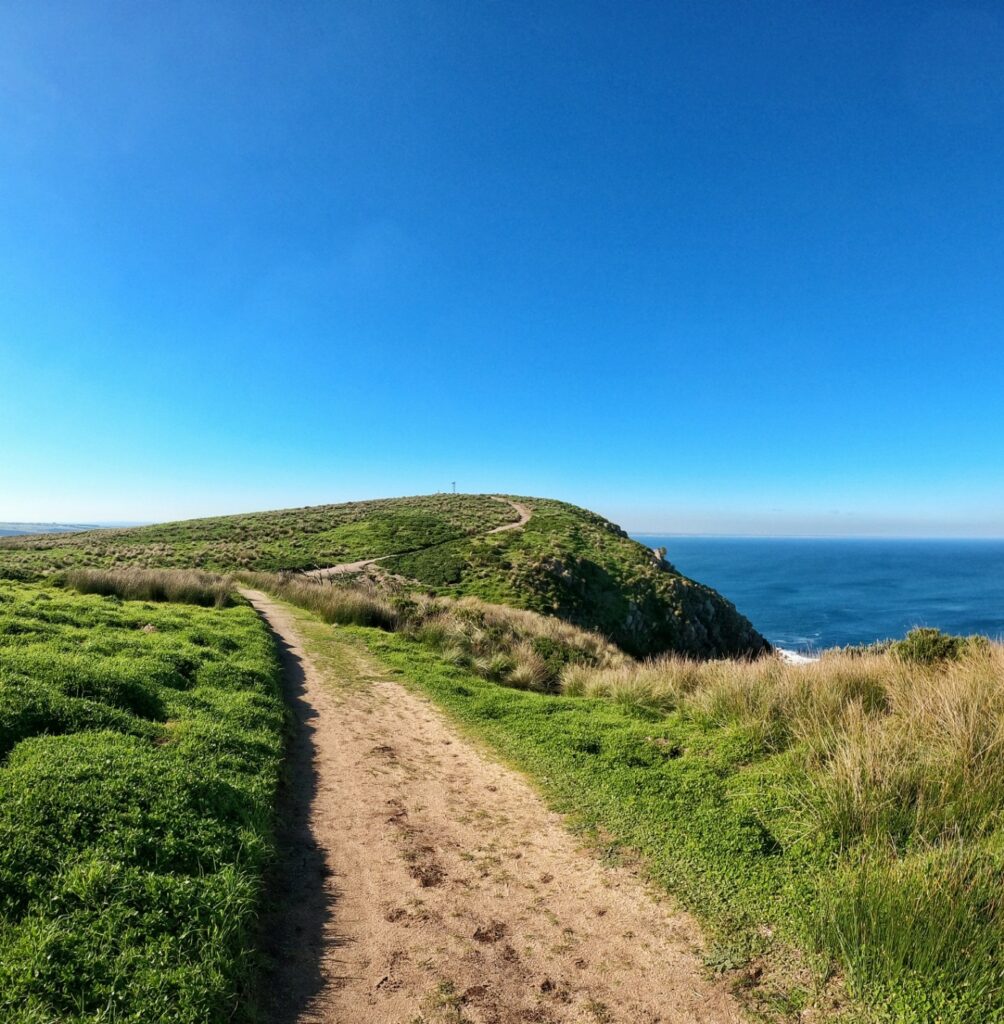 Cape Woolamai Circuit Track