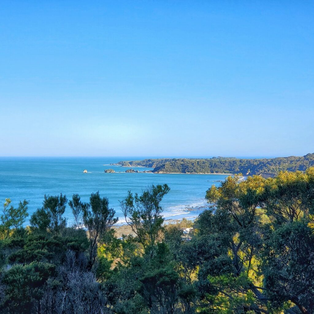 walkerville overlook track things to do south gippsland